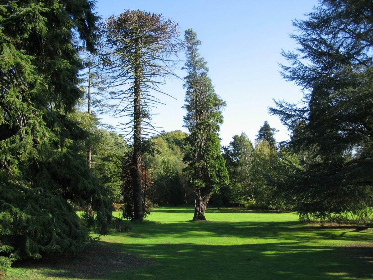 Easthampstead Park Hotel Bracknell Exterior foto